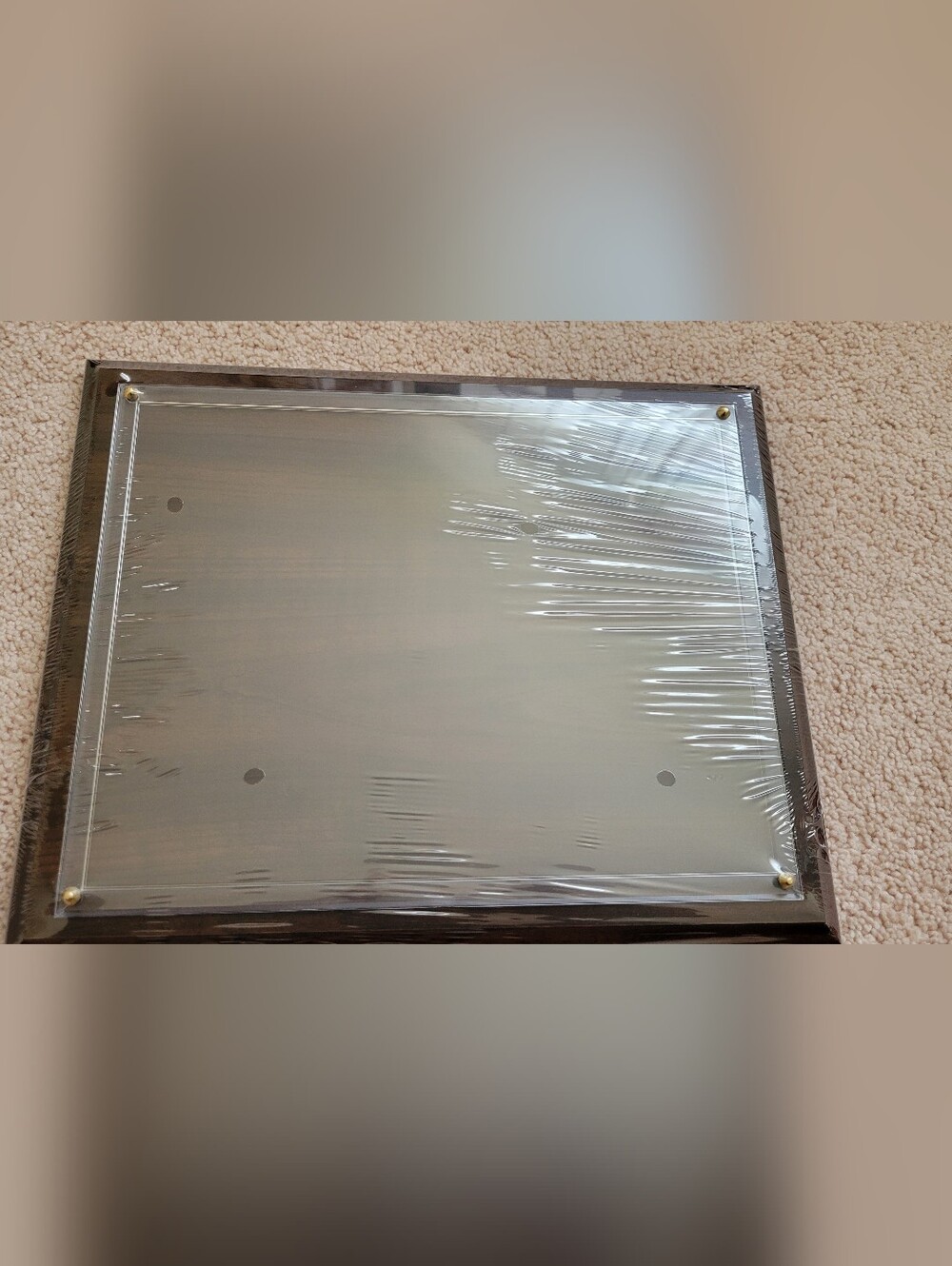 Brsnd New Professional Diploma Frame